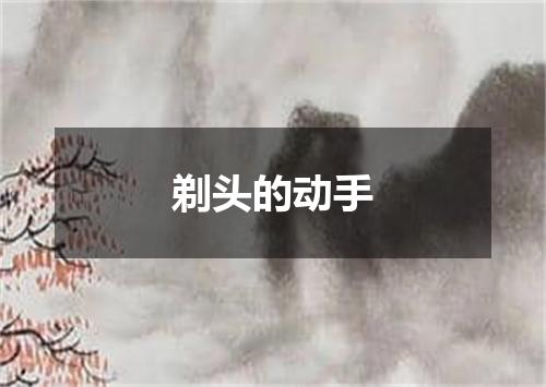 剃头的动手