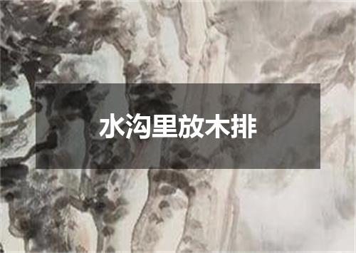 水沟里放木排