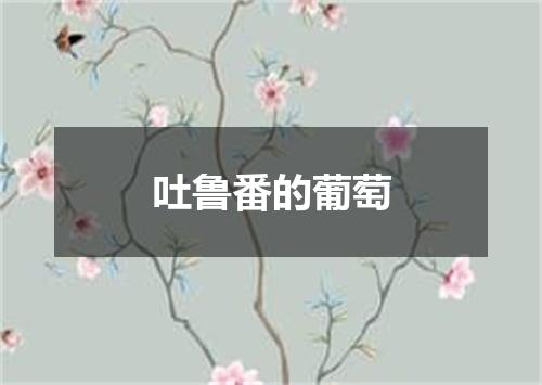 吐鲁番的葡萄