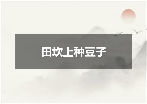 田坎上种豆子