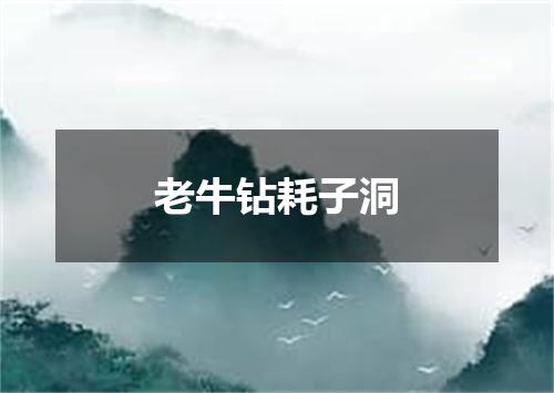 老牛钻耗子洞