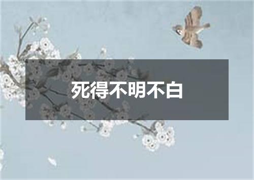 死得不明不白