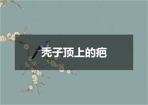 秃子顶上的疤
