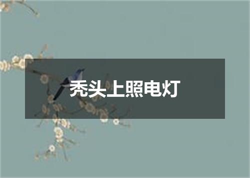 秃头上照电灯