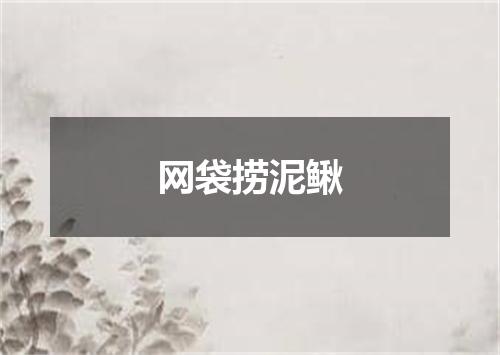 网袋捞泥鳅