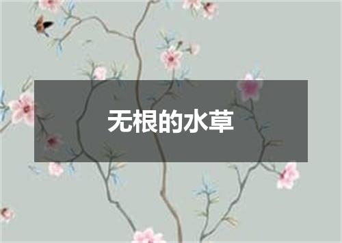 无根的水草
