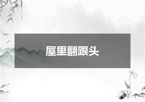 屋里翻跟头