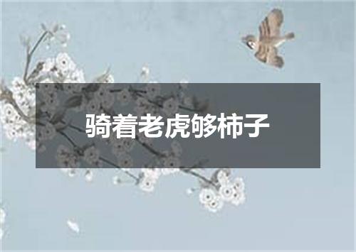 骑着老虎够柿子
