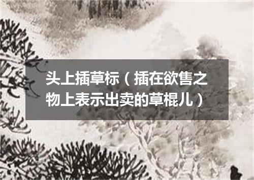 头上插草标（插在欲售之物上表示出卖的草棍儿）