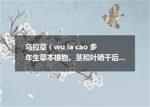 乌拉草（wu la cao 多年生草本植物。茎和叶晒干后垫在鞋或靴子里可以保暖）搀鸡毛