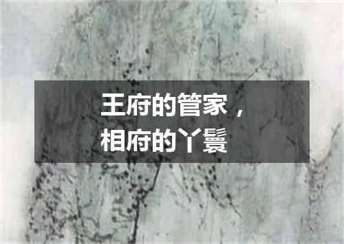 王府的管家，相府的丫鬟