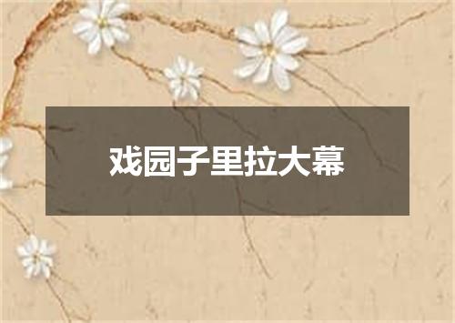 戏园子里拉大幕