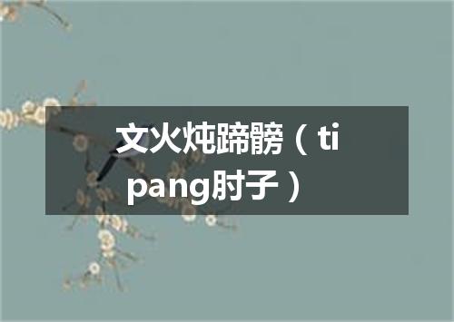 文火炖蹄髈（ti pang肘子）