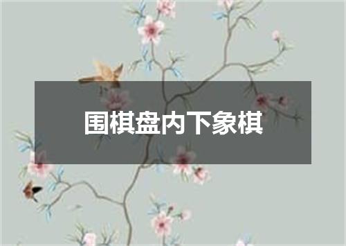 围棋盘内下象棋