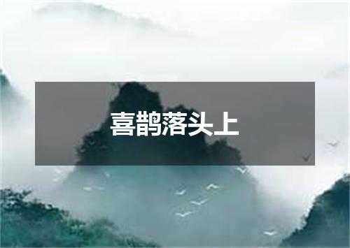 喜鹊落头上