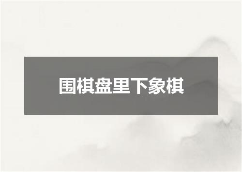 围棋盘里下象棋