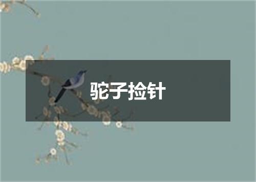驼子捡针