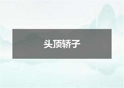 头顶轿子