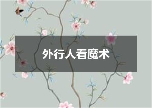 外行人看魔术