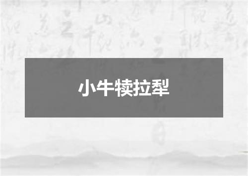 小牛犊拉犁