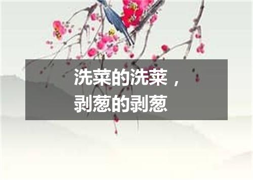 洗菜的洗莱，剥葱的剥葱