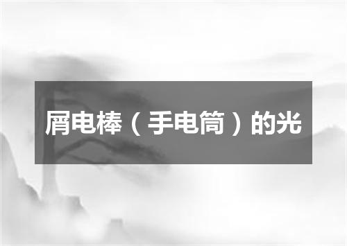 屑电棒（手电筒）的光
