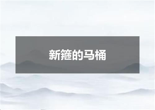 新箍的马桶