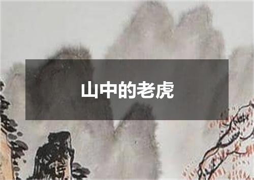山中的老虎