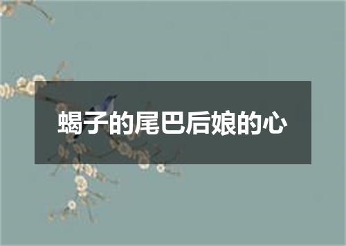 蝎子的尾巴后娘的心