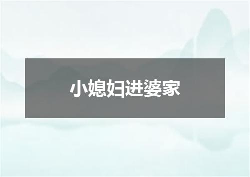 小媳妇进婆家