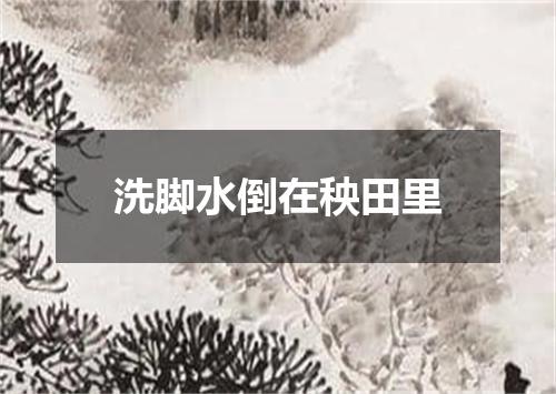 洗脚水倒在秧田里