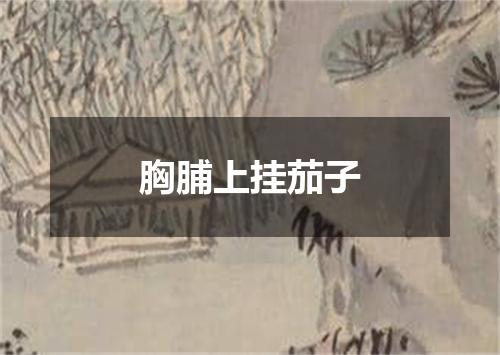胸脯上挂茄子