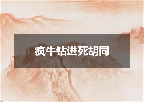 疯牛钻进死胡同