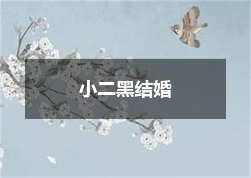 小二黑结婚