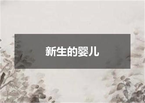 新生的婴儿