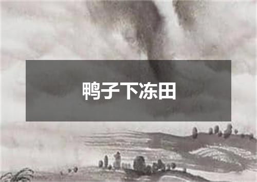 鸭子下冻田