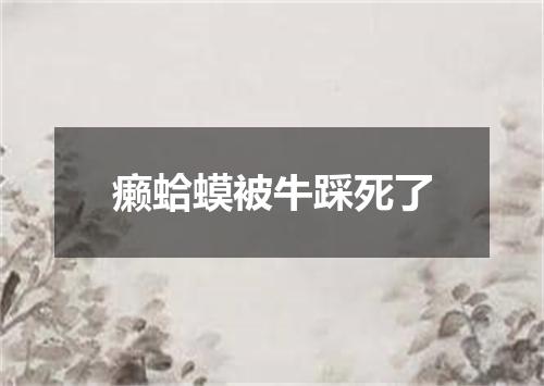 癞蛤蟆被牛踩死了