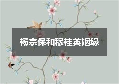 杨宗保和穆桂英姻缘