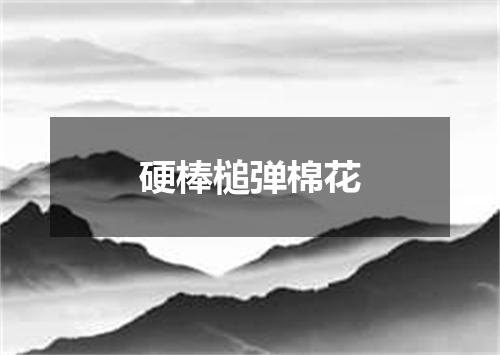 硬棒槌弹棉花