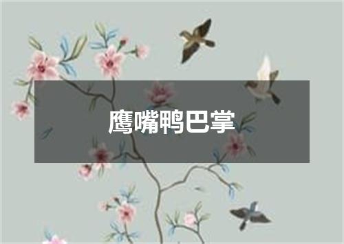 鹰嘴鸭巴掌