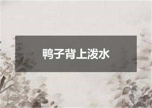 鸭子背上泼水