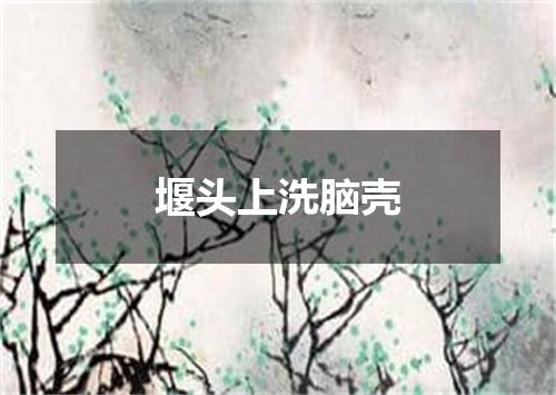 堰头上洗脑壳