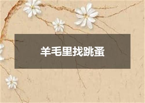 羊毛里找跳蚤