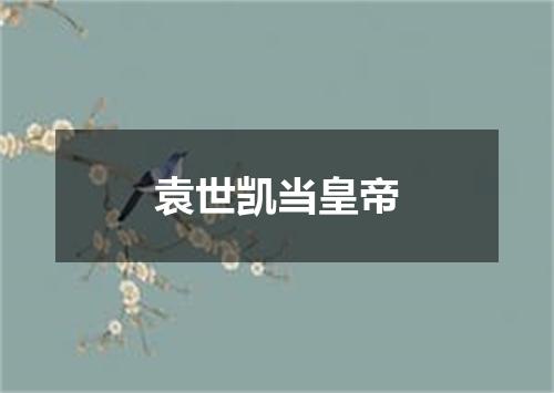 袁世凯当皇帝