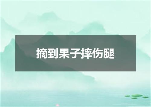 摘到果子摔伤腿