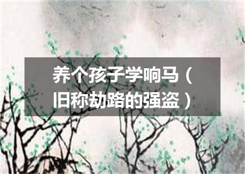养个孩子学响马（旧称劫路的强盗）