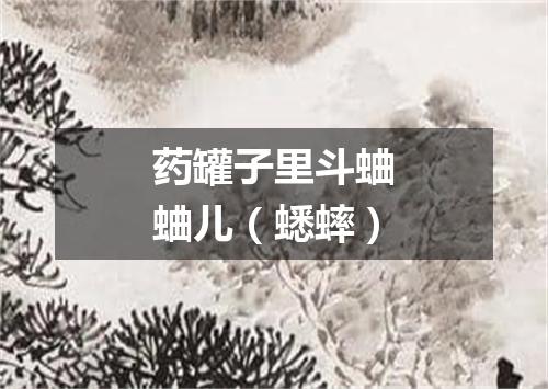 药罐子里斗蛐蛐儿（蟋蟀）