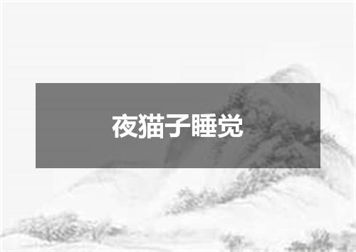 夜猫子睡觉