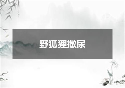 野狐狸撒尿