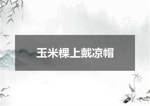 玉米棵上戴凉帽